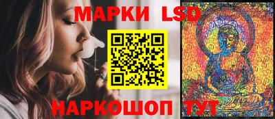 гидра Брянск