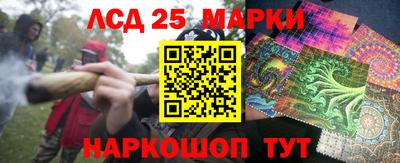 a pvp Братск