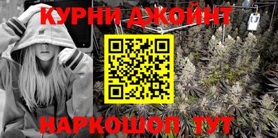 гидра Брянск
