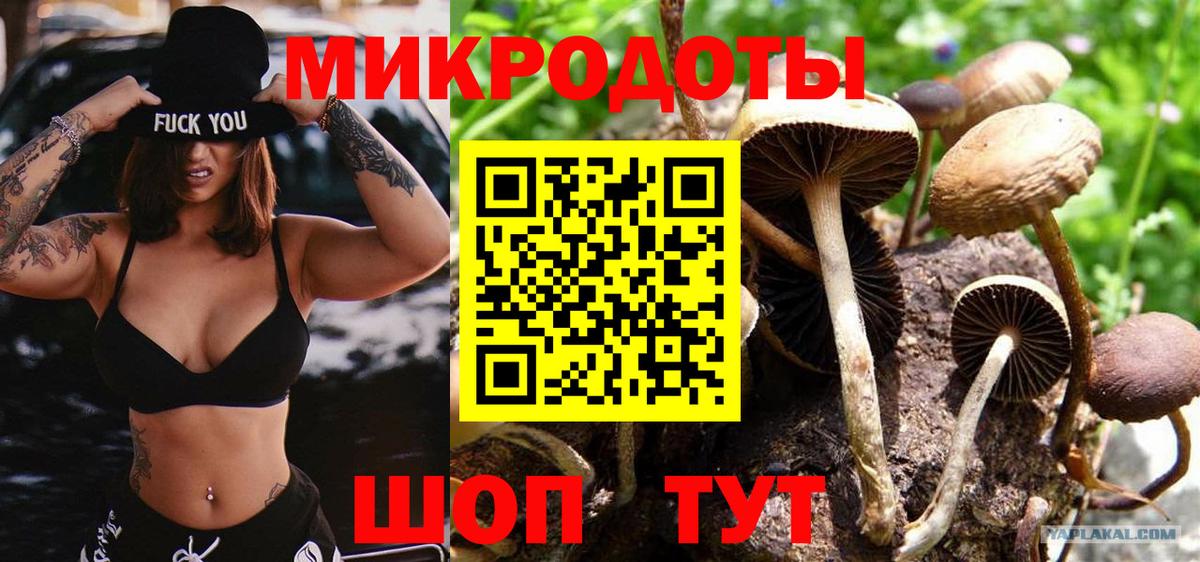 купить наркотики цена  Галлюциногенные грибы мицелий  Вход с VPN  Воркута 